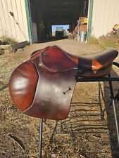 dominus saddle for sale  Fort Collins