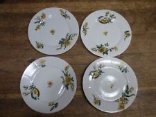 Lot assiettes dessert d'occasion  Gouville-sur-Mer