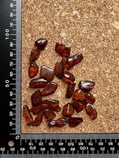 Raw dark amber for sale  READING