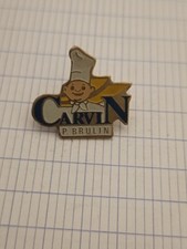 Pin carvin brulin d'occasion  Méricourt