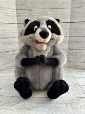 Pocahontas meeko raccoon for sale  NEWMARKET