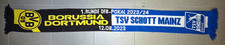 Borussia dortmund tsv gebraucht kaufen  Euskirchen