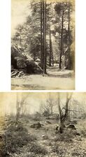 Barbizon fontainebleau forest d'occasion  Expédié en France