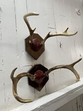 Whitetail small skull for sale  Milford