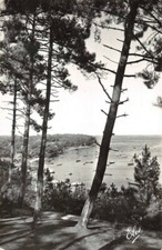 Bassin arcachon vue d'occasion  France