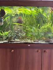 Juwel aquarium 350 gebraucht kaufen  Bleicherode, Kehmstedt, Lipprechterode