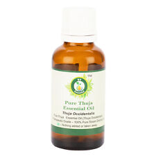 Usado, R V Essential Puro Thuja Olio Essenziale Thuja Occidentalis Grado Terapeutico comprar usado  Enviando para Brazil