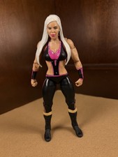 Wwe mattel nxt for sale  Middletown