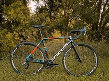 Focus mares cross for sale  Carroll