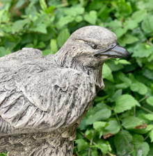 Large eagle statue for sale  DAGENHAM