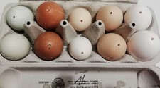 Bunte ausgeblasene eier gebraucht kaufen Bunte ausgeblasene eier gebraucht kaufen  Penzing