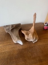 viv for sale viv for sale UK