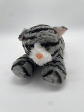 Aurora lily cat for sale  Waterbury
