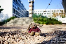 CANON FD 35/3.5 S.C. | 100% OK, fully functional, sharp - SAMPLES na sprzedaż  PL