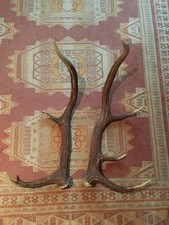 Belle paire bois d'occasion Belle paire bois d'occasion  France