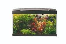 Aquarium set 60x30x31 gebraucht kaufen  Dillenburg