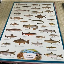 Vintage poster anni usato  Italia