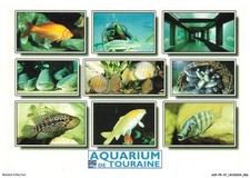 Aspp5 0235 aquarium d'occasion  France