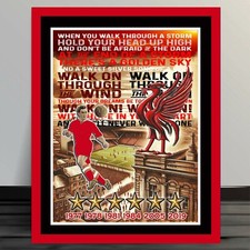 Liverpool ynwa vintage for sale  UK
