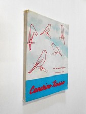 Canarino rosso zamparo usato  Cesena