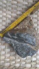Saurier knochen nothosaurus gebraucht kaufen  Ludwigsburg