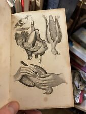 Taxidermist manual preparing for sale  EDINBURGH
