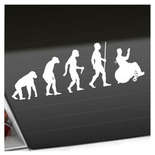 Rollstuhl behindert evolution gebraucht kaufen  Leipzig