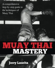 Muay thai mastery gebraucht kaufen  Berlin