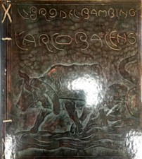 Libro del bambino usato  Genova