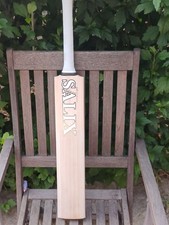 Salix amp performance for sale  SOUTHAMPTON