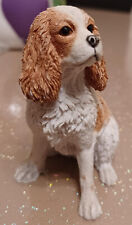 king charles spaniel dog for sale  OLDBURY