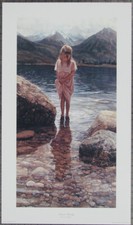 Steve hanks steve for sale  Tucson