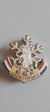 Insigne ski ourson d'occasion  Rians