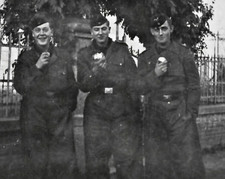 Foto junge panzer gebraucht kaufen  Geesthacht
