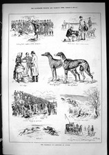 Old 1885 waterloo for sale  UK