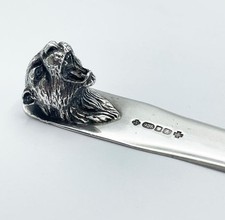 Leopard silver letter for sale  SALISBURY