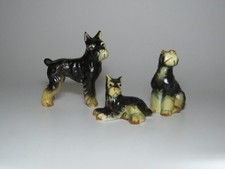 Schnauzer family miniature for sale  Delaware