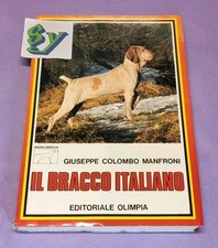 Bracco italiano giuseppe usato  Cernusco sul Naviglio