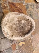 Prehistoric ancient authentic for sale  Phoenix