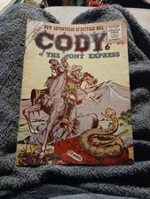 Cody the pony d'occasion  Expédié en Belgium