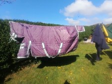 Horse harmony stable for sale  EYEMOUTH