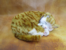 perfect petzzz gebraucht kaufen perfect petzzz gebraucht kaufen Bad Homburg v. d. Höhe