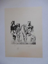 Lithographie signée numérot� d'occasion  Marseille IX