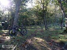 Bici mtb focus usato  Roma