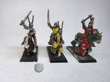 Warhammer unlisted bretonnian for sale  BICESTER
