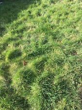 Screened top soil for sale  BANBURY