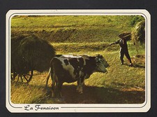 Attelage bovin agricole d'occasion  Baugy