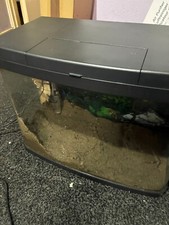 Litre aquarium fish for sale  BEVERLEY