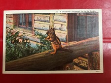 Vintage postcards states for sale  Natick