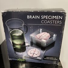 Anatomic brain specimen for sale  Philadelphia